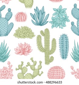 Cactus seamless pattern. Sketchy style illustration. Succulent collection. Vector illustration