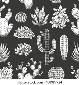 Cactus seamless pattern. Sketchy style illustration. Succulent collection. Vector illustration