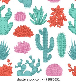 Cactus seamless pattern. Sketchy style illustration. Succulent collection. Vector illustration