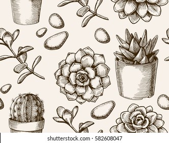 Cactus seamless pattern. Sketchy style illustration. Succulent collection. Vector illustration