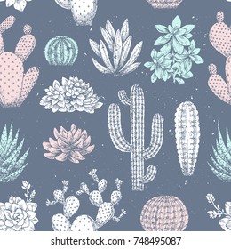 Cactus seamless pattern. Sketchy style illustration. Succulent collection. Vector illustration