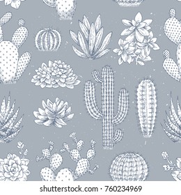 Cactus seamless pattern. Soft color sketchy style illustration. Succulent collection. Vector illustration