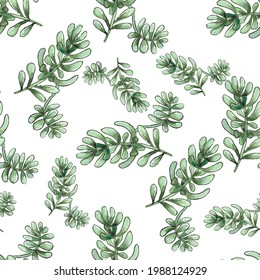 Cactus seamless pattern. Watercolor pattern of catus on white background. Green thorns Mexican succulent. Exotic cacti houseplant background