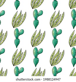 Cactus seamless pattern. Watercolor pattern of catus on white background. Green thorns Mexican succulent. Exotic cacti houseplant background