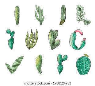 Cactus seamless pattern. Watercolor pattern of catus on white background. Green thorns Mexican succulent. Exotic cacti houseplant background