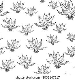 Cactus seamless vector pattern with agave. Cacti fabric print design. Succulent textile surface. Hand drawn vector illustration. Elements for your design. Natural texture in engraving style