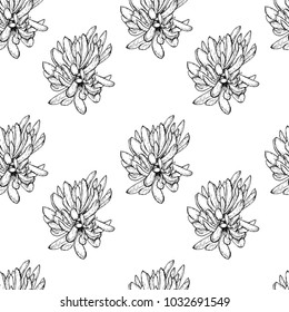 Cactus seamless vector pattern with senecio. Cacti fabric print design. Succulent textile surface. Hand drawn vector illustration. Elements for your design. Natural texture in engraving style