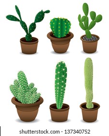 Cactus set