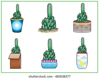 Cactus set