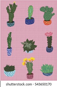 cactus set