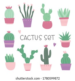 Cactus set. Cactus, aloe and succulents. Vector illustration isolated on a white background.