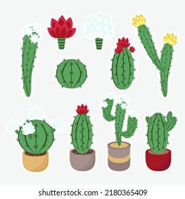Cactus. A set of colored stickers for design. Vector illustration in a flat style.