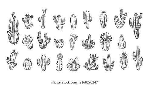 Cactus set with flowers. Hand drawn illustration in doodle style.Vector illustration.