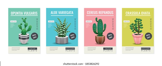 Cactus set of four vertical posters with editable text and images of cactus plants in pots vector illustration