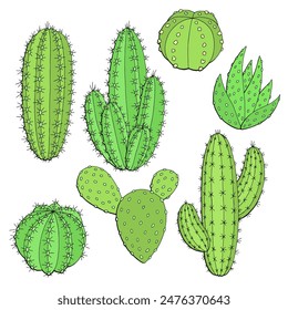 Cactus set graphic color isolated sketch illustration vector 