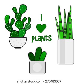 Cactus set. Hand drawing plants in the pots.