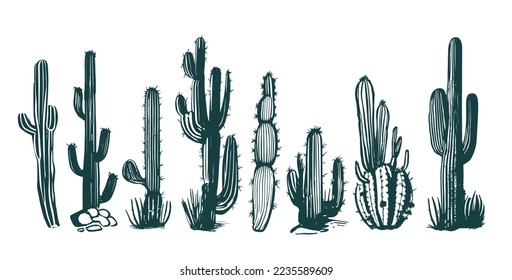 Cactus set hand drawn illustrations, vector