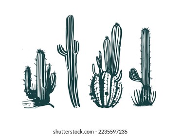 Cactus set hand drawn illustrations, vector