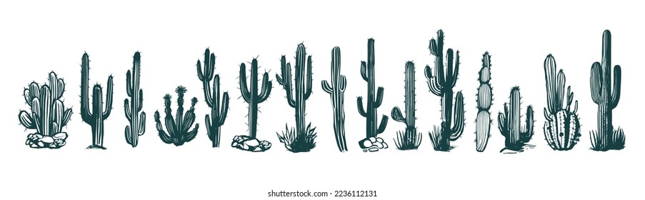 Cactus set hand drawn illustrations, vector.