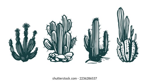 Cactus set hand drawn illustrations, vector