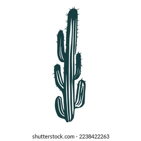 Cactus set hand drawn illustrations, vector