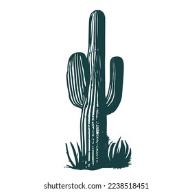 Cactus set hand drawn illustrations, vector