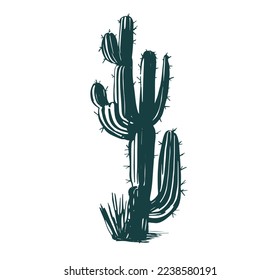 Cactus set hand drawn illustrations, vector