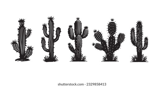 Cactus set hand drawn illustrations, vector