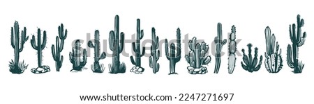 Cactus set hand drawn illustrations, vector	
