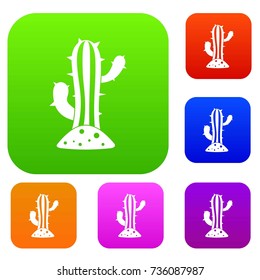 Cactus set icon color in flat style isolated on white. Collection sings vector illustration