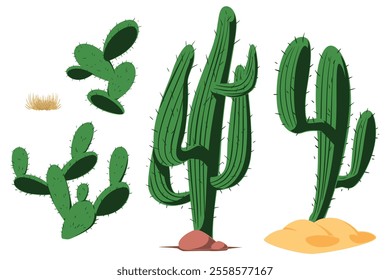 Cactus set. Illustration concept template for website, web landing page, banner, presentation, social, poster, promotion or print media.