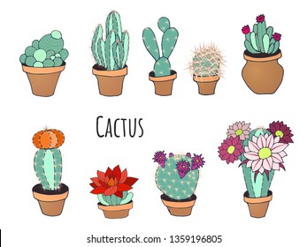Cactus set illustration in a pot
