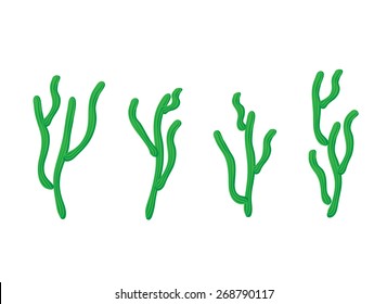 Conjunto de cactus, ilustración aislada en blanco
