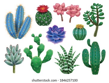 Cactus set with isolated images of various exotic plants and colourful tropical flowers on blank background vector illustration