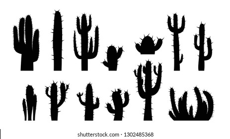 cactus set on white