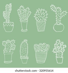 Cactus set. In pencil cartoon style