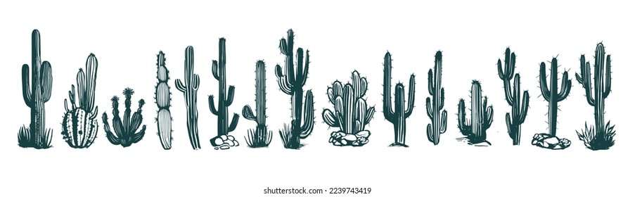 Conjunto de cactus, esbozo, ilustraciones dibujadas a mano, vector.