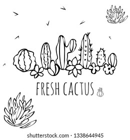 Cactus set. Sketchy style vector illustration.