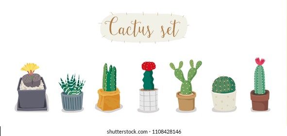 Cactus Set. Succulent Collections.cute summer