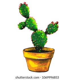 cactus, set of succulent, isolated on a white