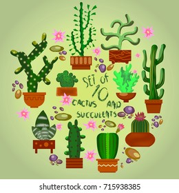 cactus set. Vector set of cacti. Various cacti in pots is perfect for decorating themed promotional products, books, stickers, labels, icons