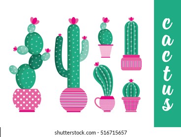 Cactus set. Vector collection of cactus