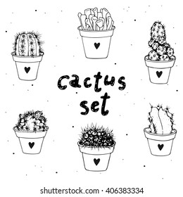 Cactus set. Vector illustration of a cactus isolated on a white background. Cactus in a pot. 