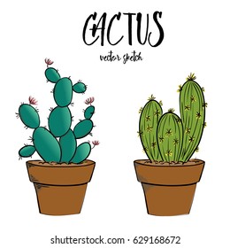 Cactus set vector sketch
