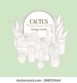 Cactus Set Vintage Vector Hand Drawn Design Card