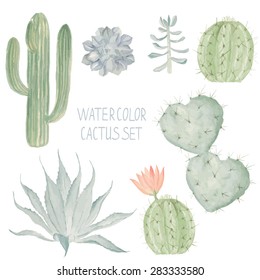 Cactus Set. Watercolor Succulent Collection