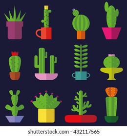 Cactus set,flat style.Vector collection,succulents,modern style. Green plant icons , colored pot,desert nature,floral exotic,tropical flower,Home garden,wild botany illustration,background