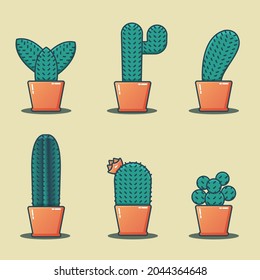 Cactus con varios tipos y formas