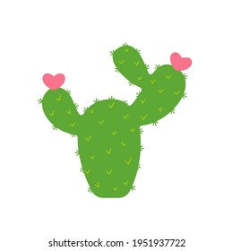 Cactus shaped plants that flower in the shape of a heart. The concept of lovers growing cactus.