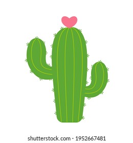 Cactus shaped plants that flower in the shape of a heart. The concept of lovers growing cactus.